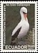 Nazca Booby Sula granti