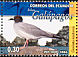 Swallow-tailed Gull Creagrus furcatus  2006 Galapagos fauna Booklet
