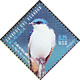 White-winged Swallow Tachycineta albiventer