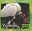 King Vulture Sarcoramphus papa  2012 Yasuni Booklet, sa