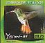 Rufous-tailed Hummingbird Amazilia tzacatl  2012 Yasuni Booklet, sa