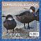 White-cheeked Pintail Anas bahamensis  2012 Galapagos 8v booklet, sa