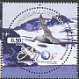 Southern Giant Petrel Macronectes giganteus  2013 Presence in Antarctica 3v set