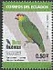 Red-lored Amazon Amazona autumnalis  2015 Endemic birds 