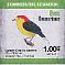 Wire-tailed Manakin Pipra filicauda  2015 Birds Booklet, sa