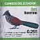 Banded Ground Cuckoo Neomorphus radiolosus  2015 Birds Booklet, sa