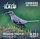 Tropical Mockingbird Mimus gilvus  2019 Ilalo Booklet, sa
