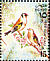European Goldfinch Carduelis carduelis  1994 Festivals 