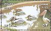 Great White Pelican Pelecanus onocrotalus  2016 Giza Zoo 8v sheet