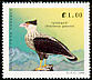 Crested Caracara Caracara plancus  1989 Birds 