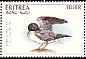 White-eyed Gull Ichthyaetus leucophthalmus  1996 Endangered animals Strip