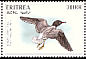 White-eyed Gull Ichthyaetus leucophthalmus  1996 Endangered animals Strip