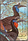 Abyssinian Ground Hornbill Bucorvus abyssinicus  1998 Birds Sheet