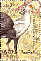 Secretarybird Sagittarius serpentarius