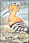 Eurasian Hoopoe Upupa epops  1998 Birds  MS MS