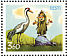 Common Crane Grus grus