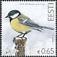 Great Tit Parus major