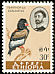 Bateleur Terathopius ecaudatus  1962 Ethiopian birds 