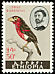 Double-toothed Barbet Lybius bidentatus  1962 Ethiopian birds 