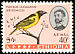 Village Weaver Ploceus cucullatus  1966 Ethiopian birds 