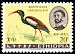 Wattled Ibis Bostrychia carunculata