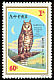 Abyssinian Owl Asio abyssinicus  1980 Birds of prey 