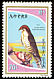 Lanner Falcon Falco biarmicus  1980 Birds of prey 