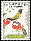 Ethiopian Oriole Oriolus monacha