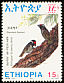 Banded Barbet Lybius undatus  1993 Endemic birds of Ethiopia 