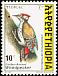 Abyssinian Woodpecker Dendropicos abyssinicus