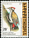 Abyssinian Woodpecker Dendropicos abyssinicus  1998 The Golden-backed Woodpecker 