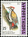 Abyssinian Woodpecker Dendropicos abyssinicus  1998 The Golden-backed Woodpecker 