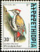 Abyssinian Woodpecker Dendropicos abyssinicus  1998 The Golden-backed Woodpecker 