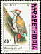 Abyssinian Woodpecker Dendropicos abyssinicus  1998 The Golden-backed Woodpecker 