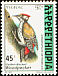 Abyssinian Woodpecker Dendropicos abyssinicus