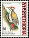 Abyssinian Woodpecker Dendropicos abyssinicus  1998 The Golden-backed Woodpecker 