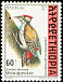 Abyssinian Woodpecker Dendropicos abyssinicus  1998 The Golden-backed Woodpecker 