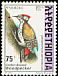 Abyssinian Woodpecker Dendropicos abyssinicus  1998 The Golden-backed Woodpecker 