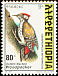 Abyssinian Woodpecker Dendropicos abyssinicus  1998 The Golden-backed Woodpecker 