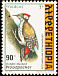 Abyssinian Woodpecker Dendropicos abyssinicus  1998 The Golden-backed Woodpecker 