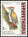 Abyssinian Woodpecker Dendropicos abyssinicus