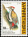 Abyssinian Woodpecker Dendropicos abyssinicus  1998 The Golden-backed Woodpecker 