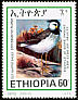 Spot-breasted Lapwing Vanellus melanocephalus  2001 Endemic birds of Ethiopia 