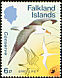 South American Tern Sterna hirundinacea