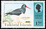 Magellanic Oystercatcher Haematopus leucopodus  1995 Shore birds 