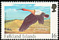 Buff-necked Ibis Theristicus caudatus