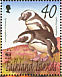 Magellanic Penguin Spheniscus magellanicus  2002 WWF, penguins 