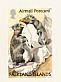 Southern Rockhopper Penguin Eudyptes chrysocome  2003 Bird definitives Booklet, sa