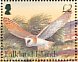 American Barn Owl Tyto furcata  2004 Owls  MS