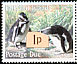 Magellanic Penguin Spheniscus magellanicus